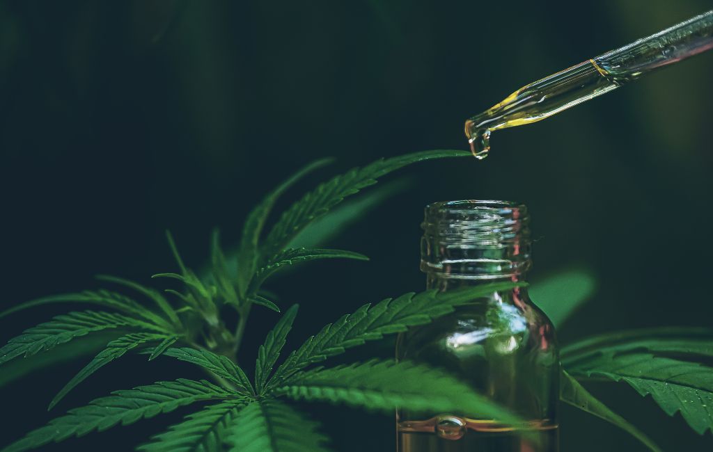 5 Facts on Does THCA Flower Get You High