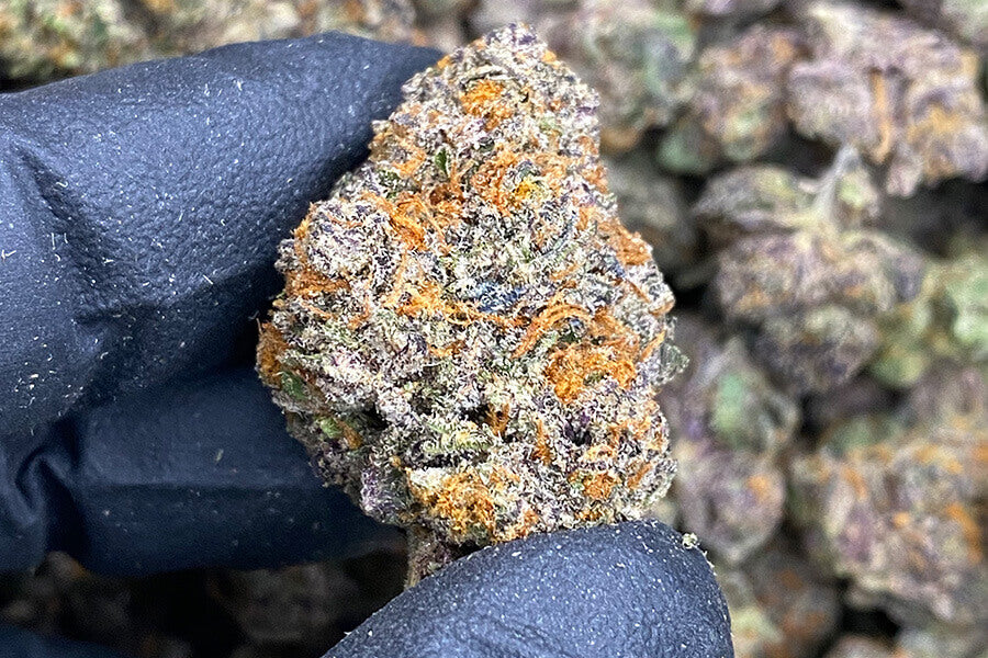 Is Buying a THCA Flower Pound Worth It?