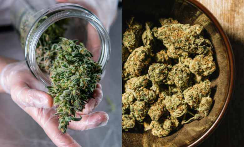 THC vs THCA in Flower