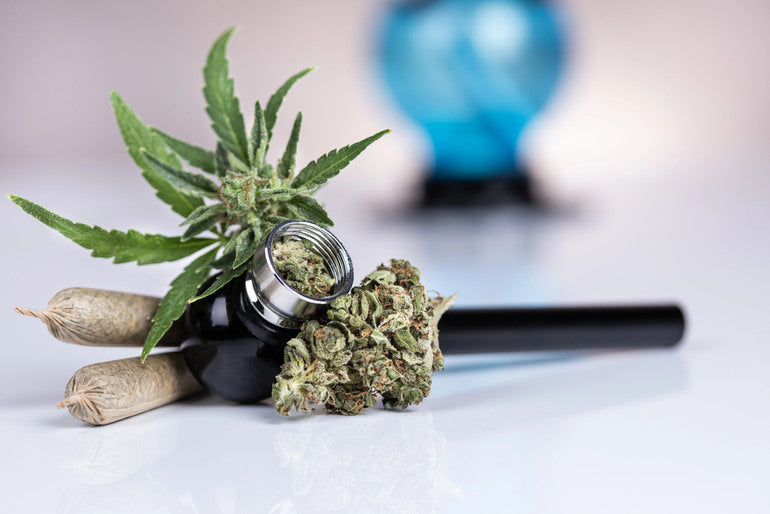 10 Things to Look for in a Quality THCA Shop