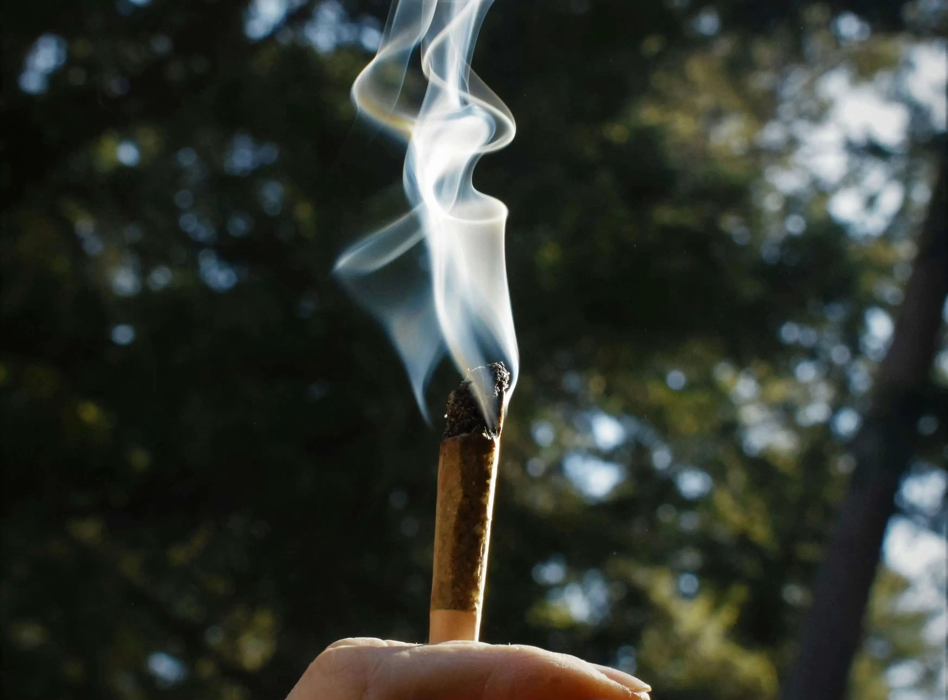 Do THCA Pre Rolls Get You High