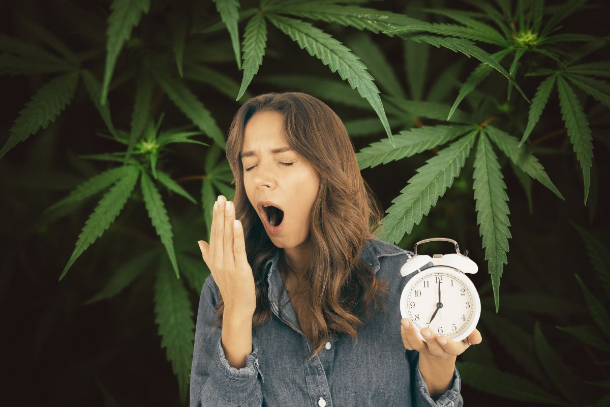Does Sativa Make You Sleepy
