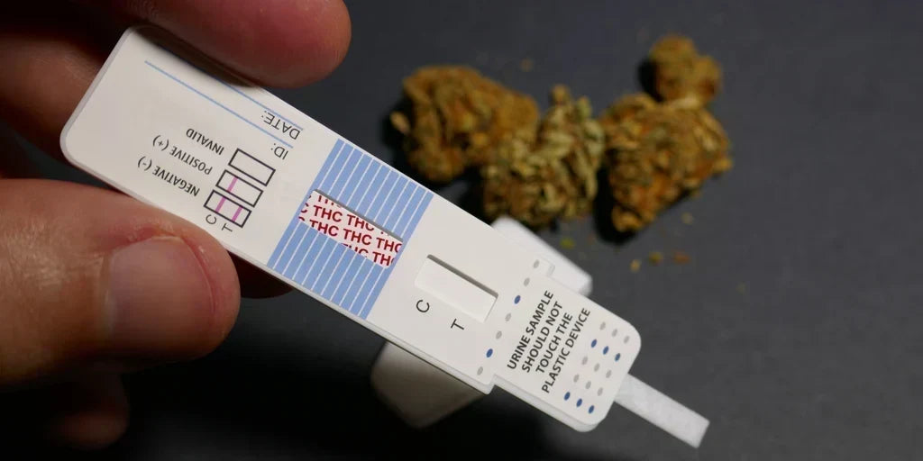 Does THCA Show on a Drug Test