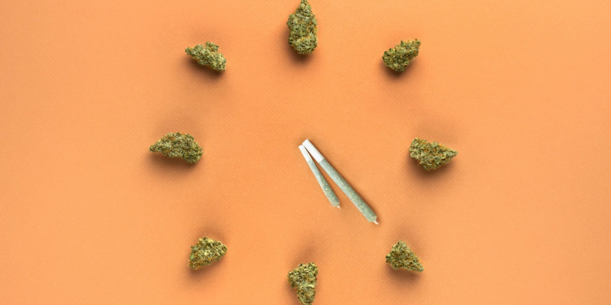 How Long Does THCA Stay In Your System