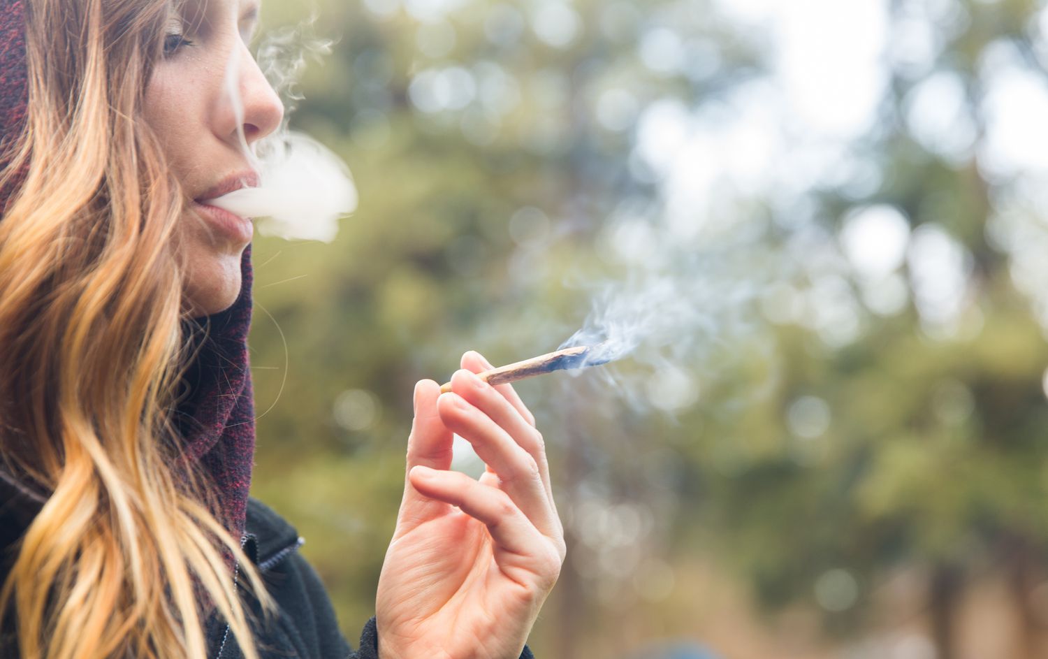 The Pros and Cons of Smoking High THCA Flower
