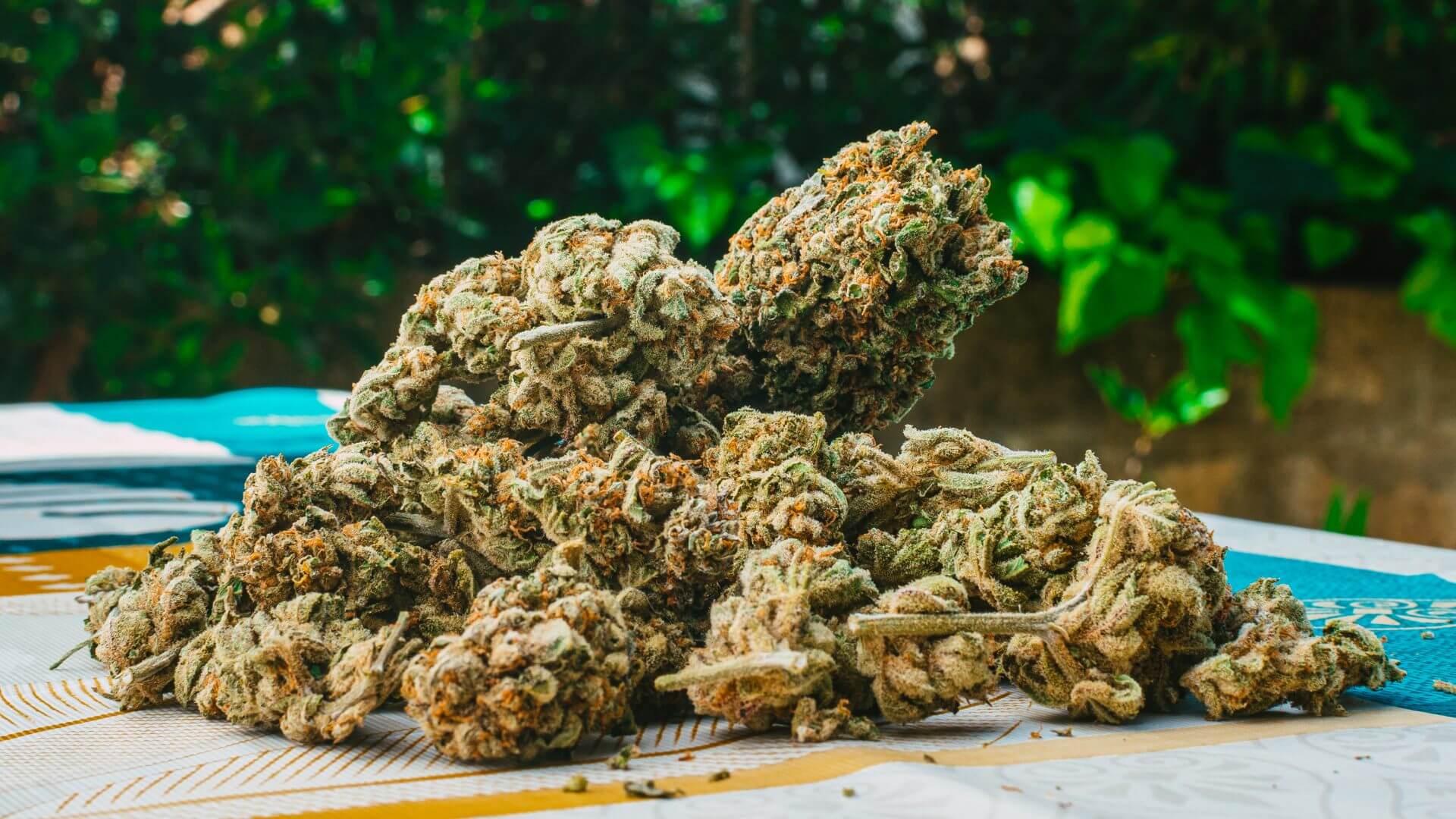 What Is THCA Flower