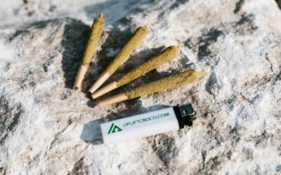 Uplift’s Guide to Delta 8 Moonrock Prerolls