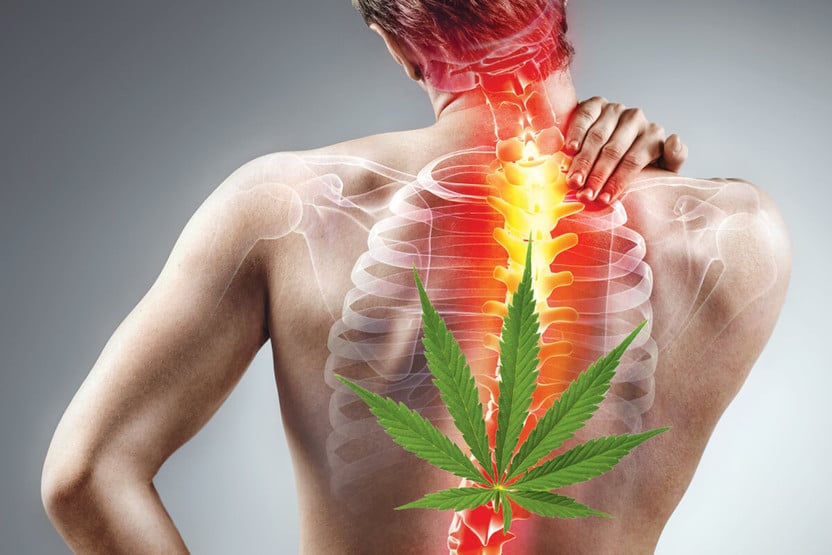 Does Delta 8 Help With Back Pain