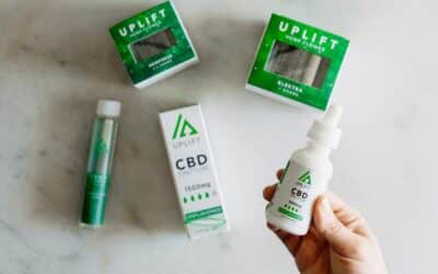 CBD for Focus: Can It Help?