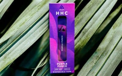 The Ultimate Guide to HHC Disposable Vape Pen