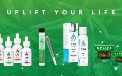 Why You Should Start Taking CBD for Energy