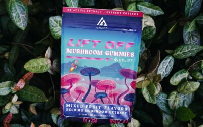 What Are Mushroom Gummies?