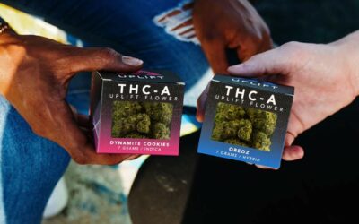 What Is THCA? Benefits, Legality, and Effects