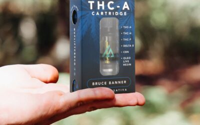 What Is a High THCA Percentage?