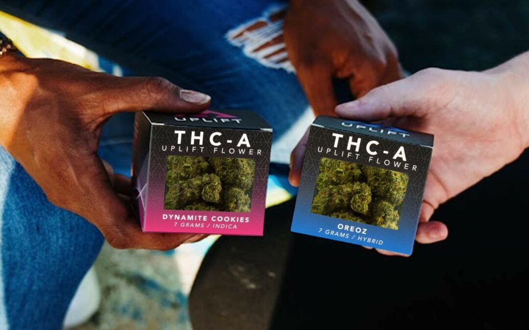 THCa vs THC Which Is Stronger