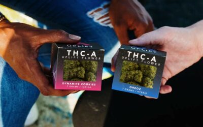 THCa vs THC: Which Is Stronger?