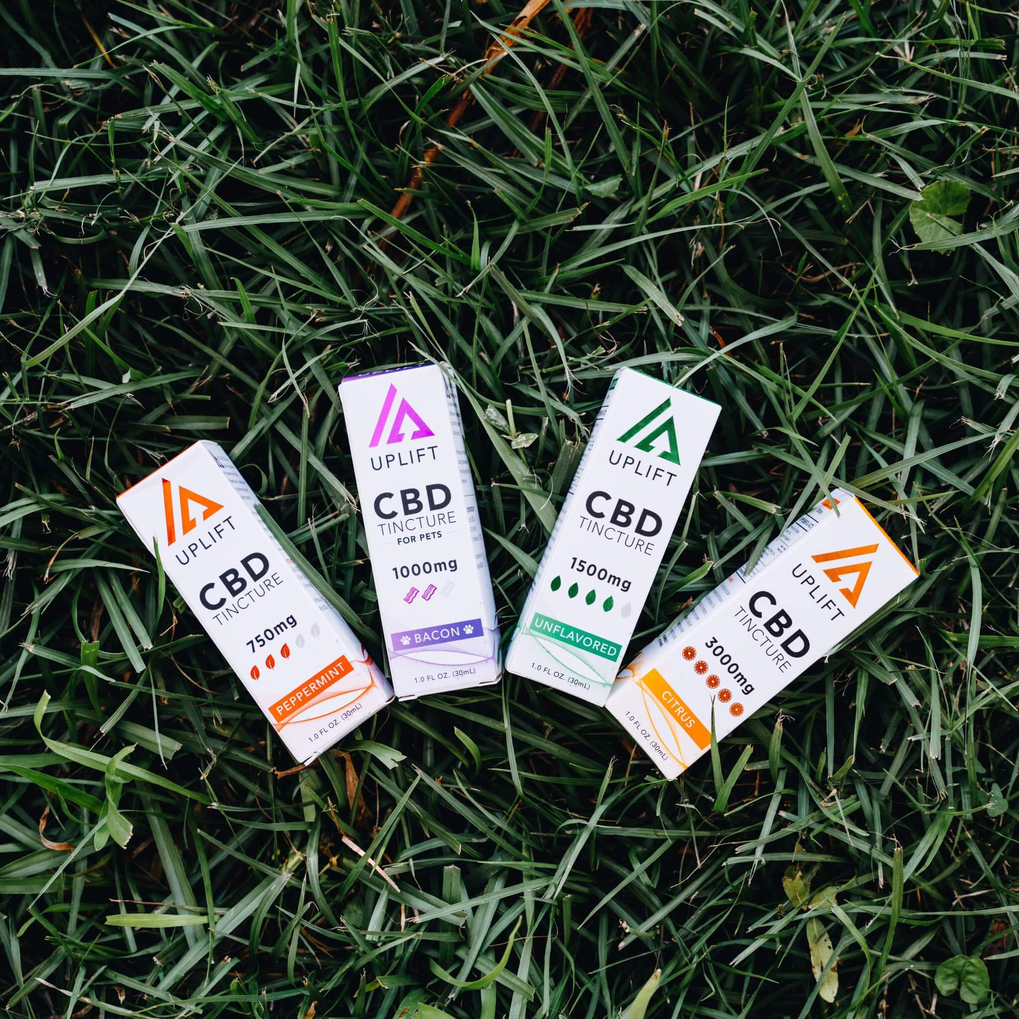 Sublingual CBD Oil