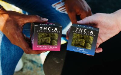 How THCa Hemp Can Benefit Your Wellness Routine