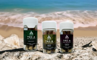 Where to Buy THCA Online